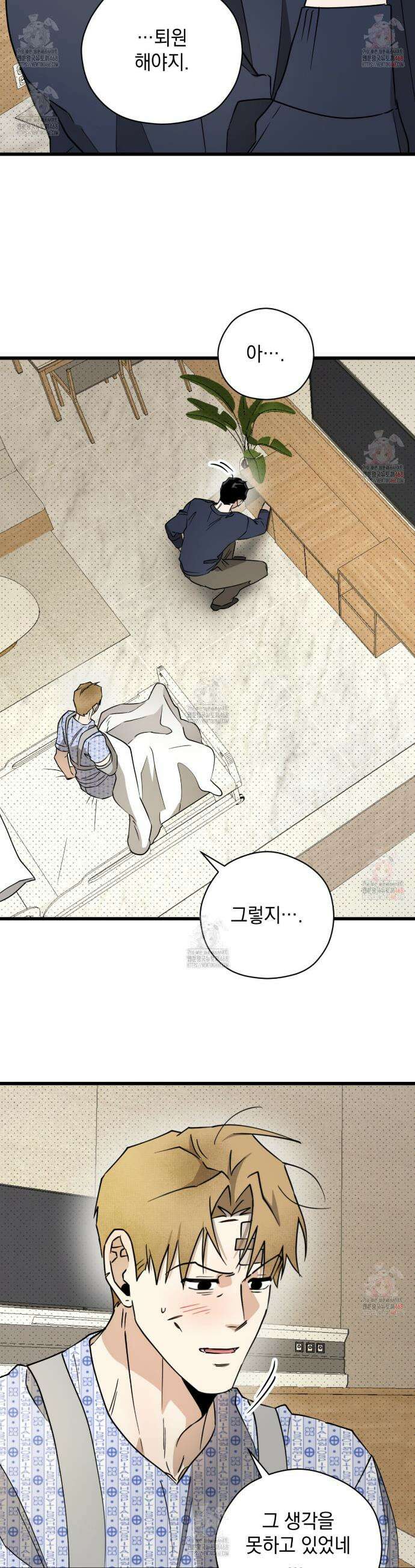 투 마이 발렌타인 (To my valentine) 56화 16