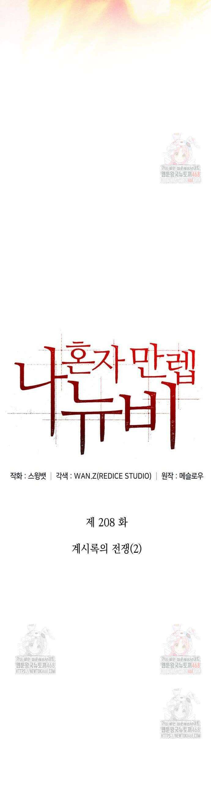 나 혼자 만렙 뉴비 208화 10