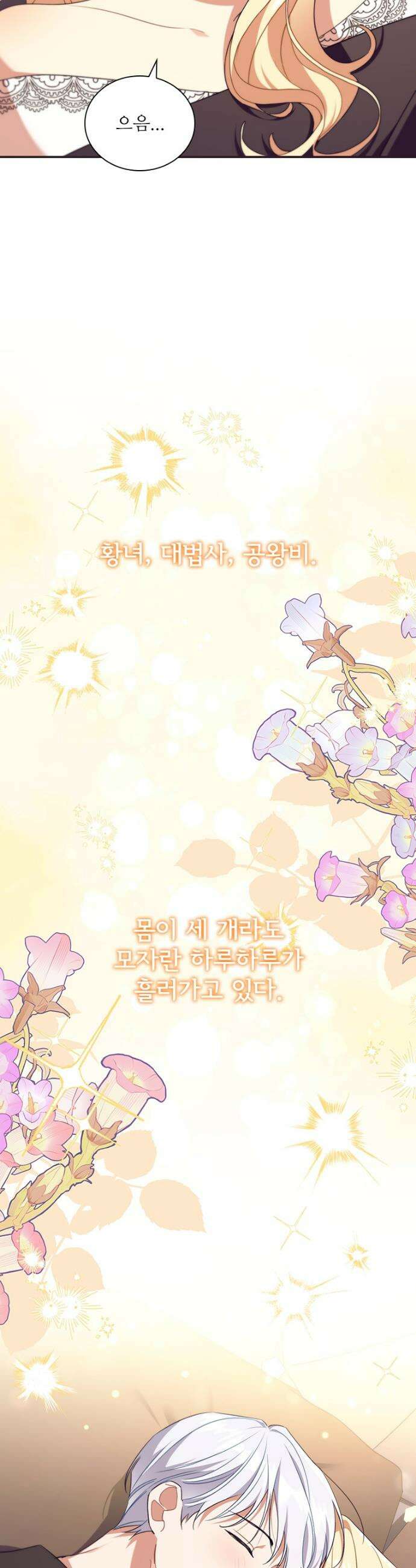 막내 황녀님 외전 28화 17