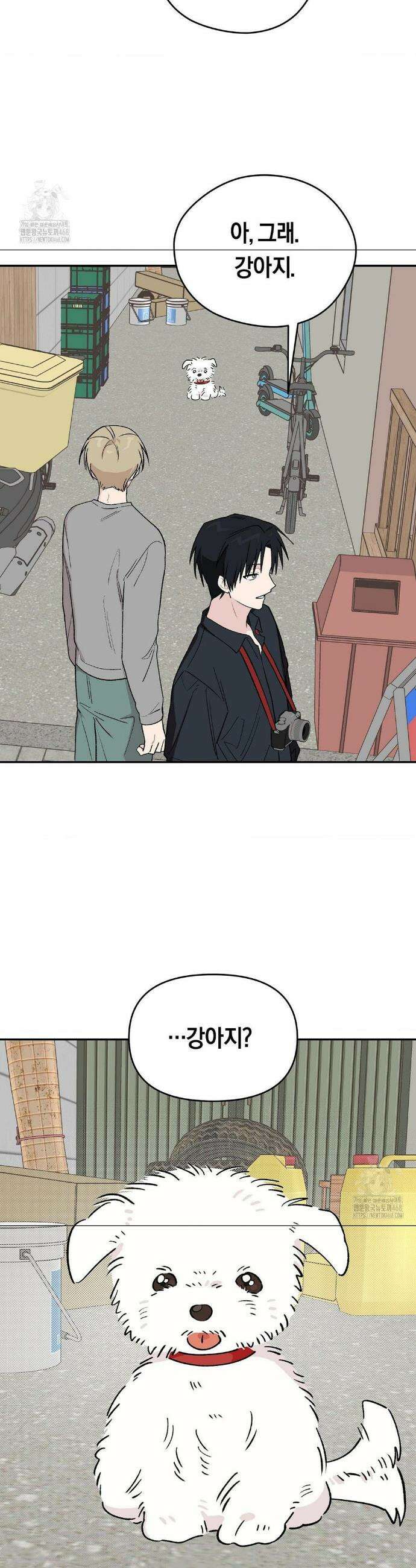 비상! 청춘기록부 8화 22