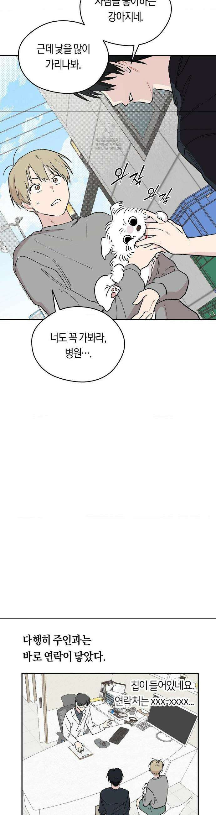 비상! 청춘기록부 8화 27