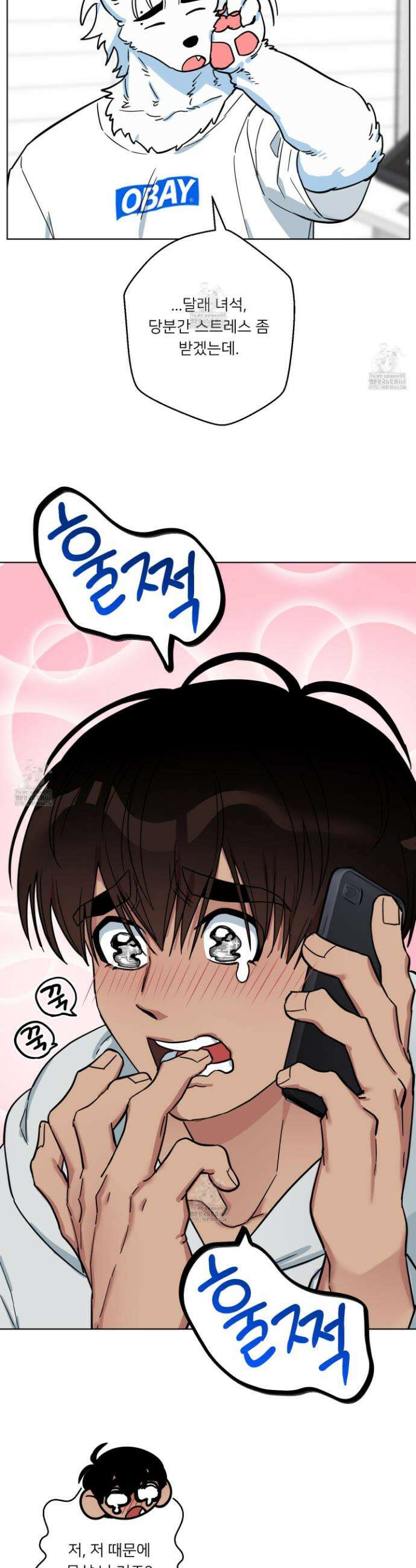 안돼요! 몰라요? 사실 알아요?! 38화 13