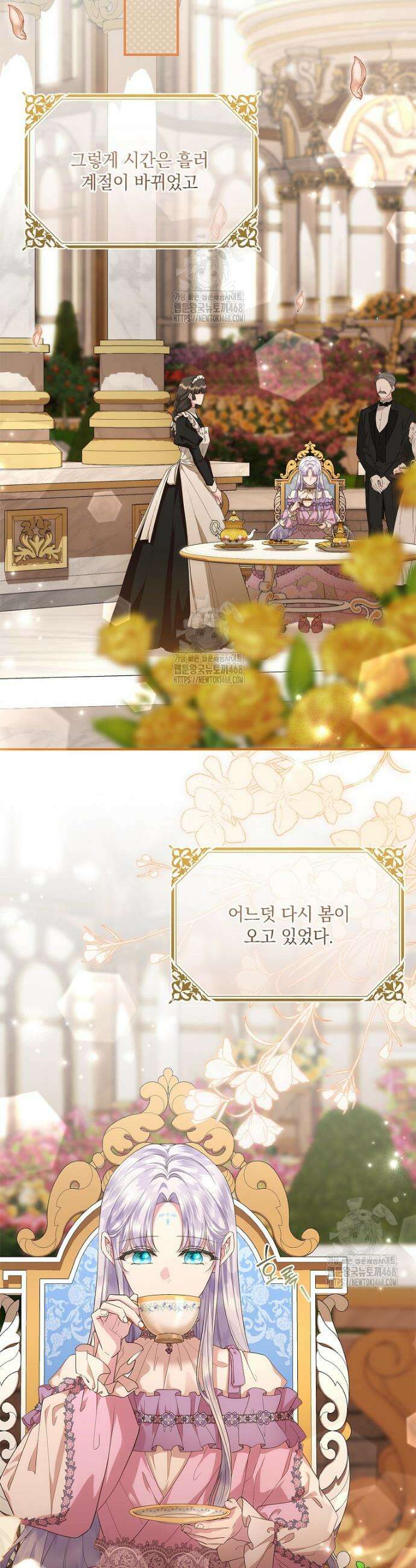 후원에 핀 제비꽃 61화 16