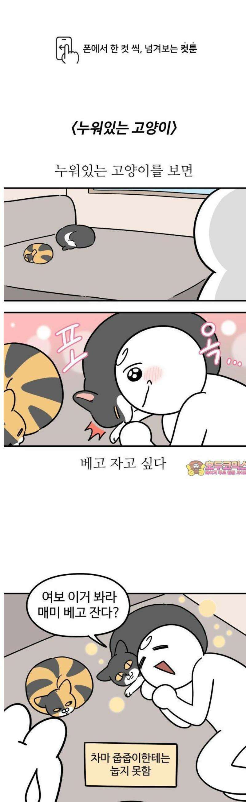 노곤하개 쇼츠 누워있는 고양이 1