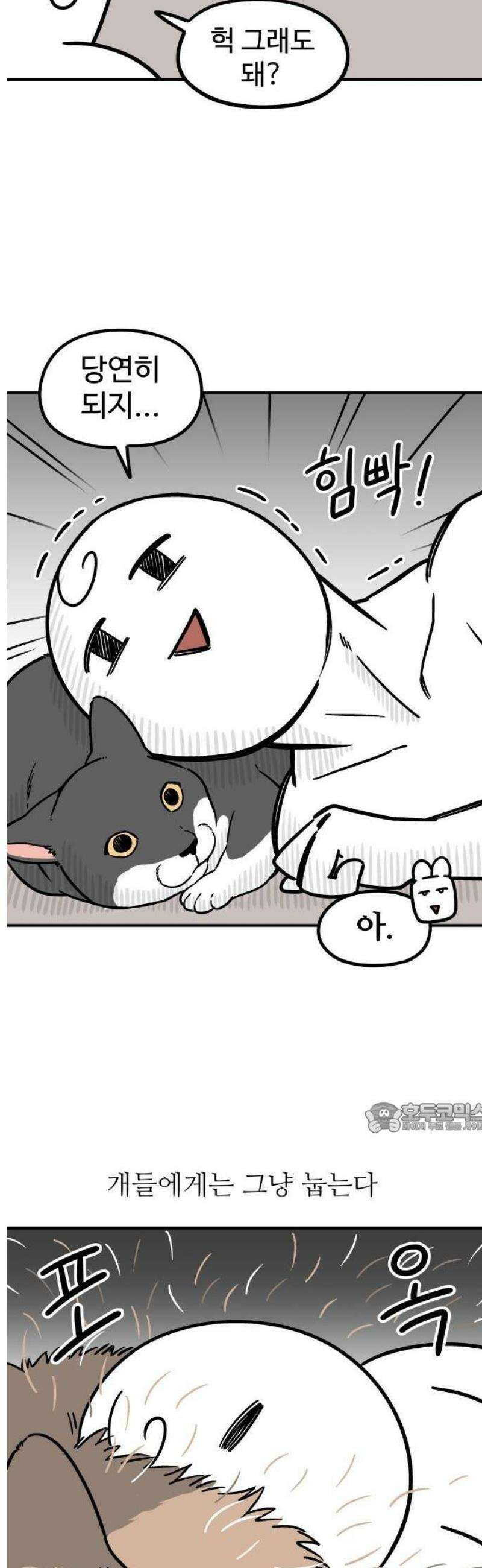 노곤하개 쇼츠 누워있는 고양이 2