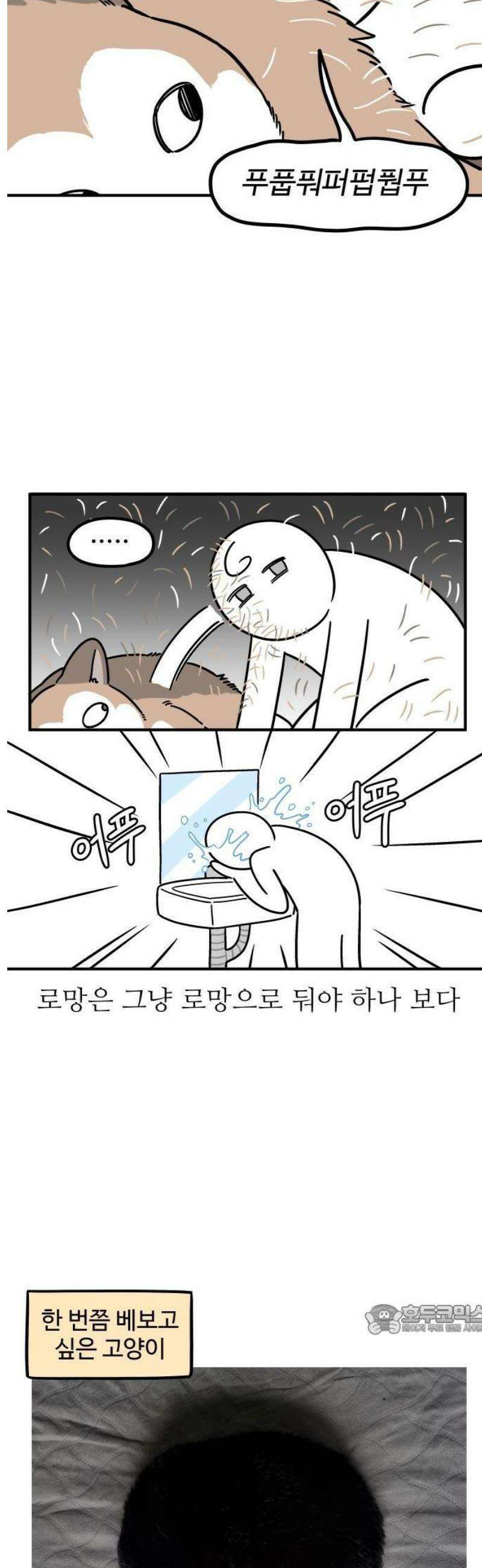 노곤하개 쇼츠 누워있는 고양이 3