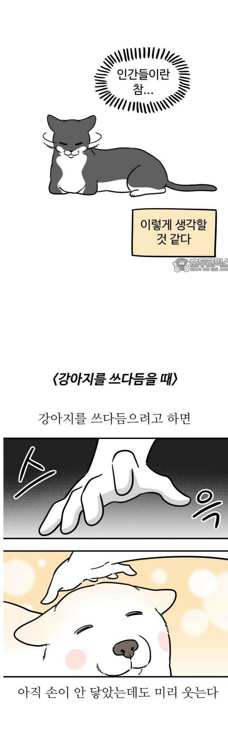 노곤하개 쇼츠 누워있는 고양이 8