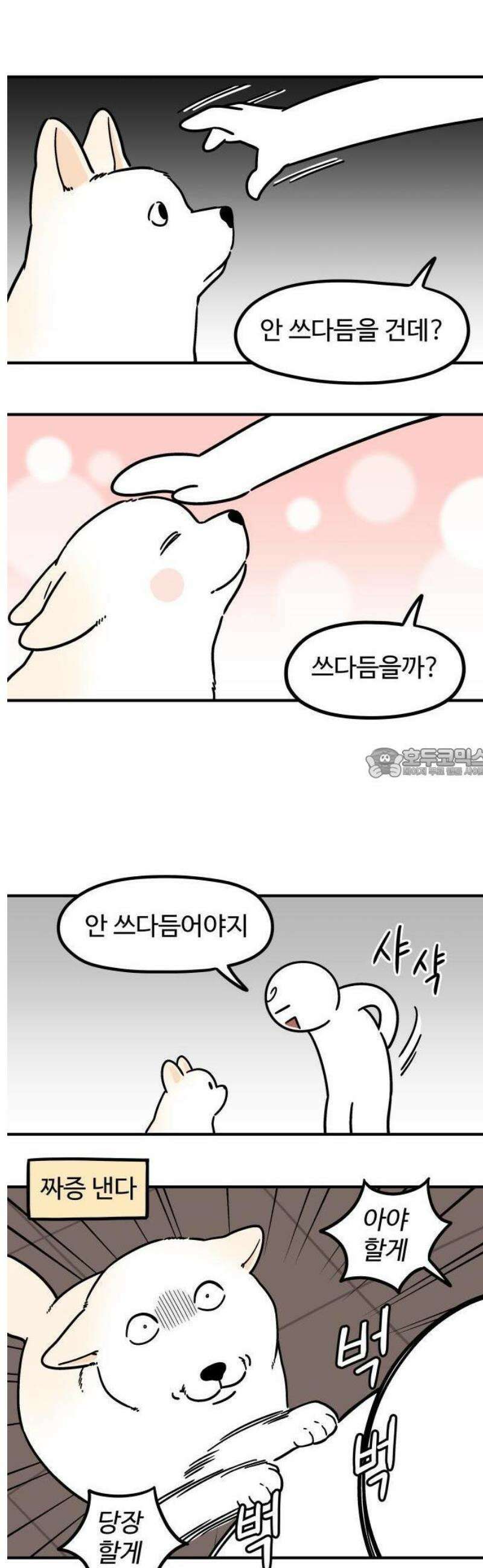 노곤하개 쇼츠 누워있는 고양이 9