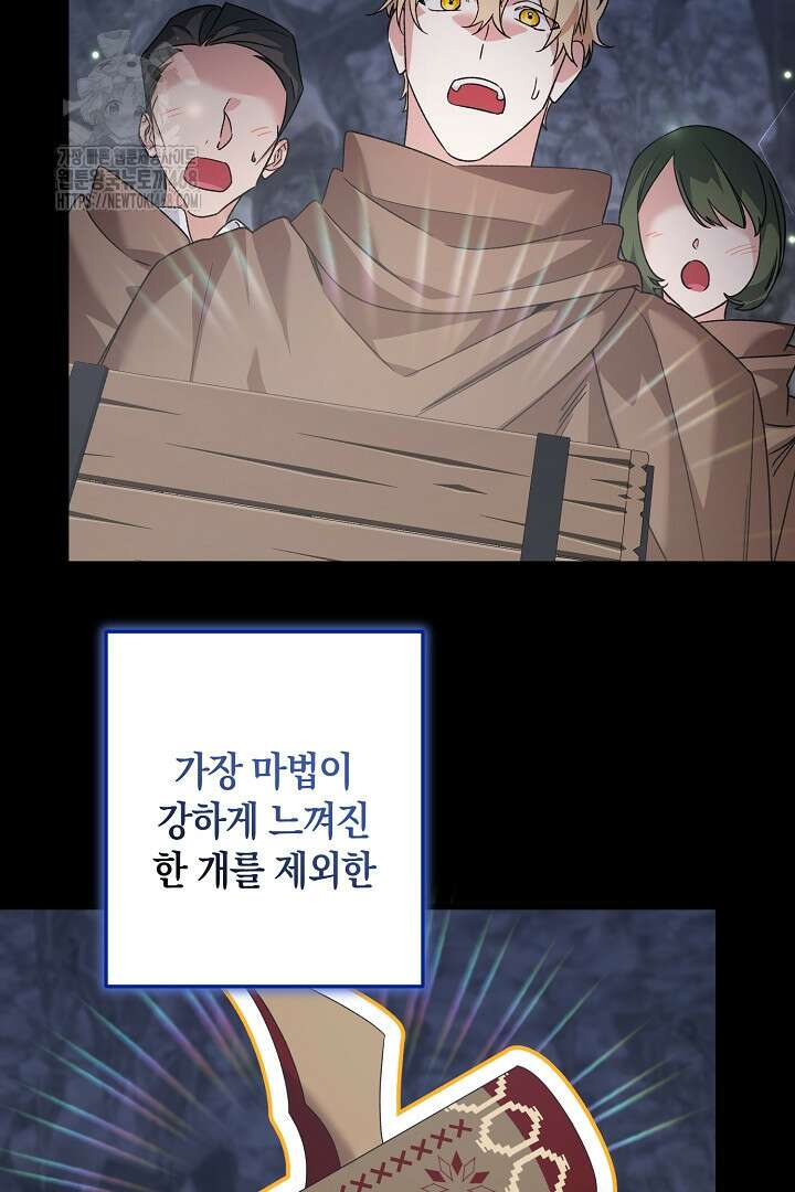 황자님께 위장연애를 제안합니다 46화 29