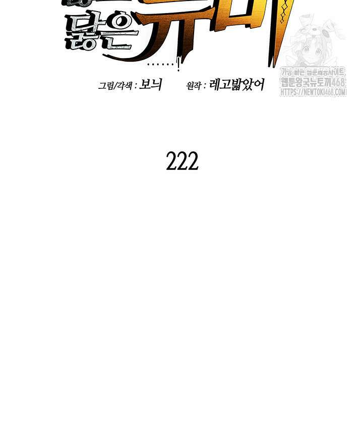 닳고닳은 뉴비 222화 19