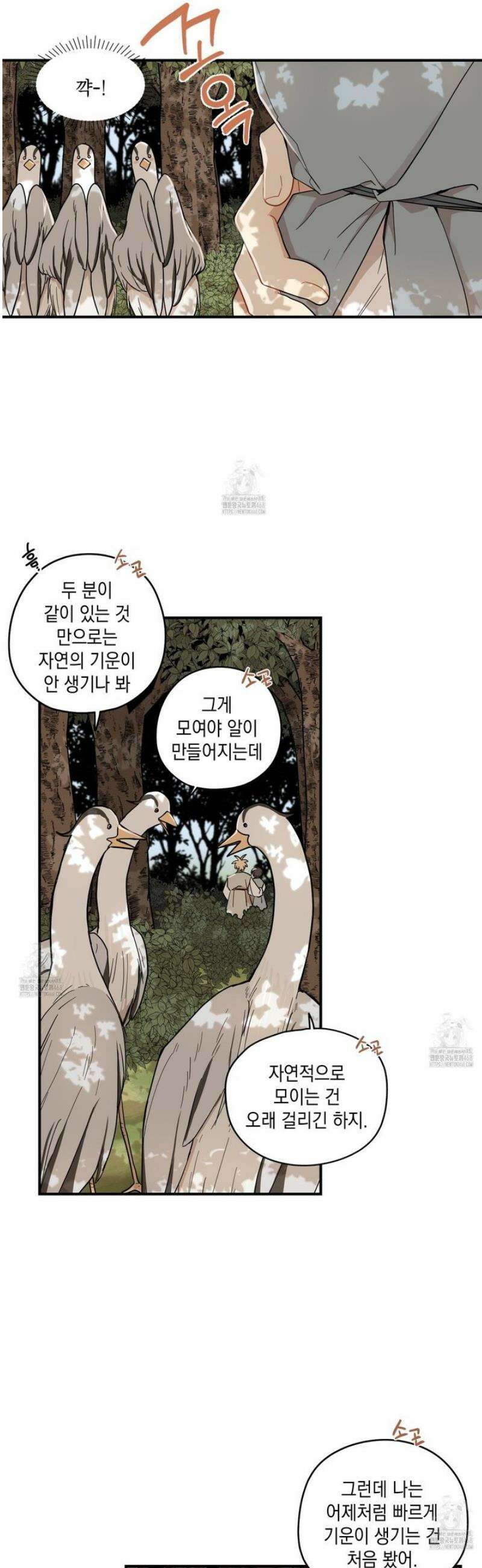 개나리가 떨어진 길 88화 5