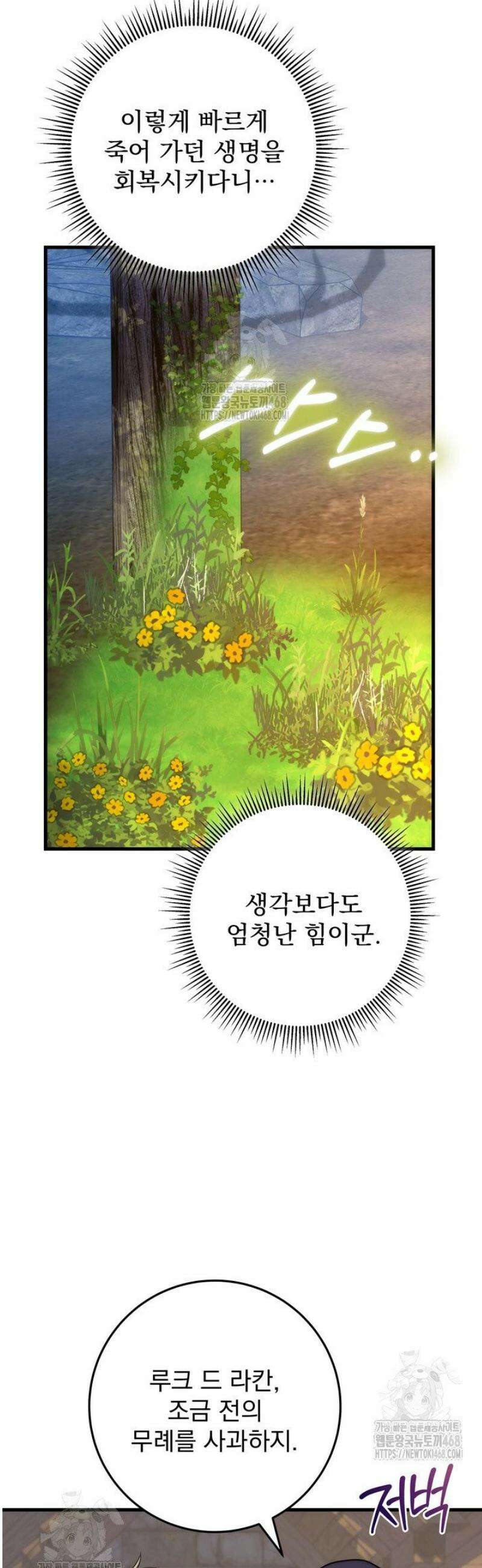 강철대제 48화 25
