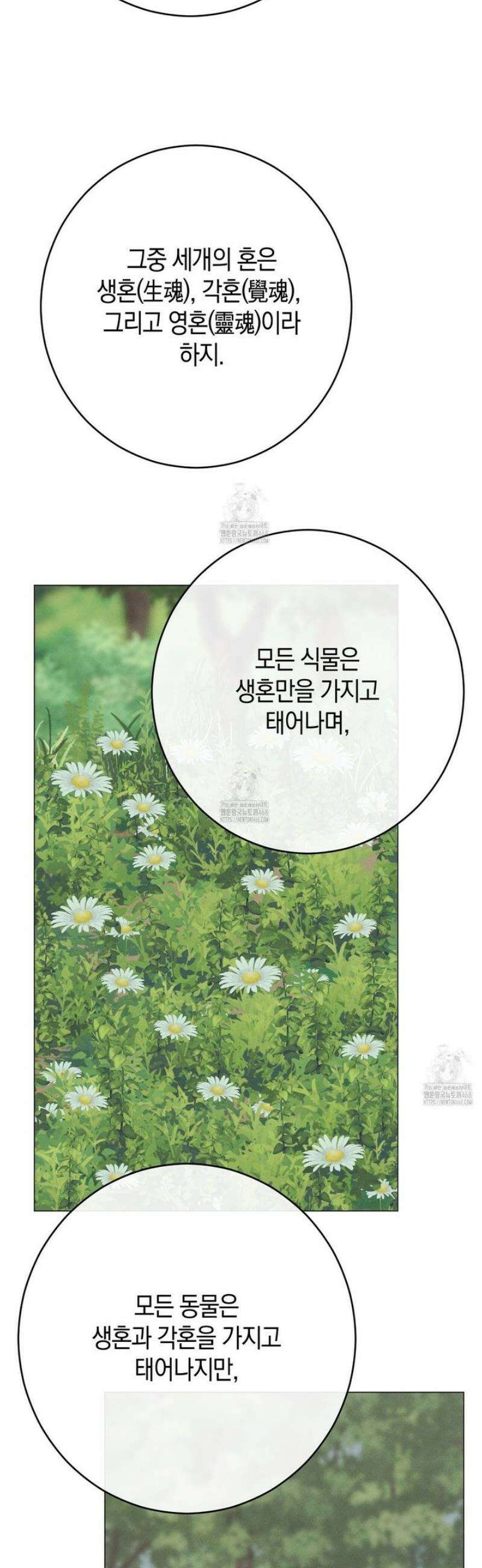 산가지는 도깨비의 꿈을 꾼다 58화 5