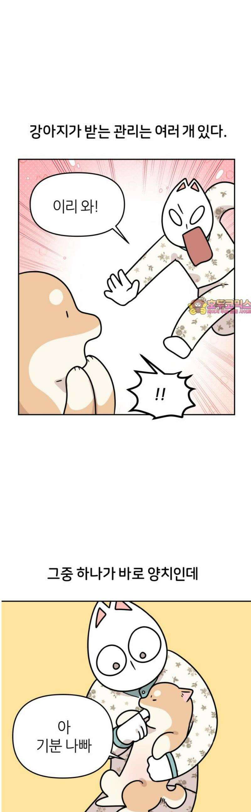 시바, 만만치 않다 52화 이빨 관리 1