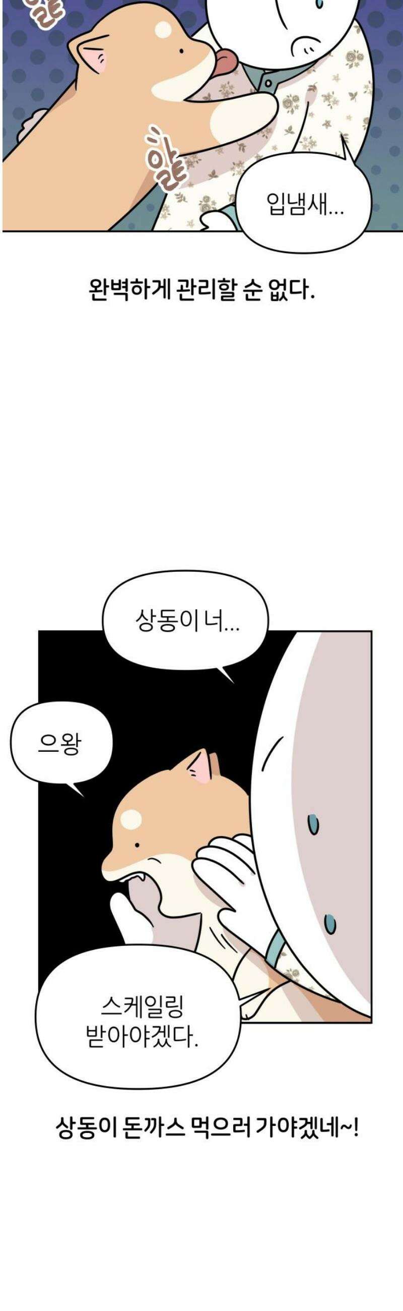 시바, 만만치 않다 52화 이빨 관리 3