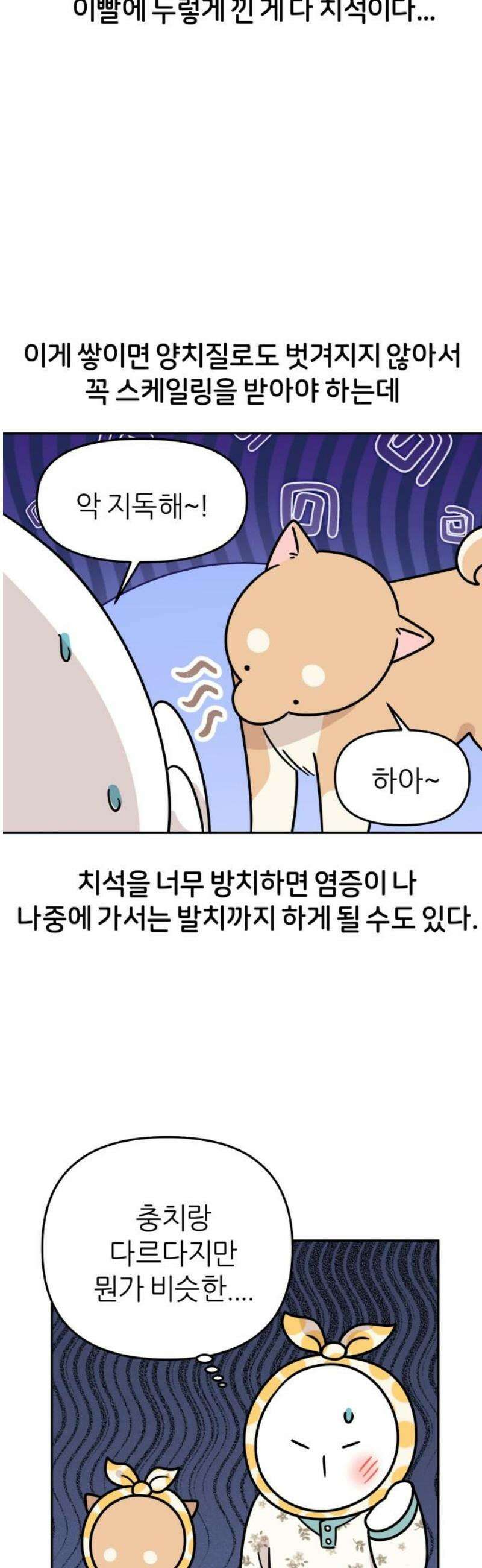 시바, 만만치 않다 52화 이빨 관리 5
