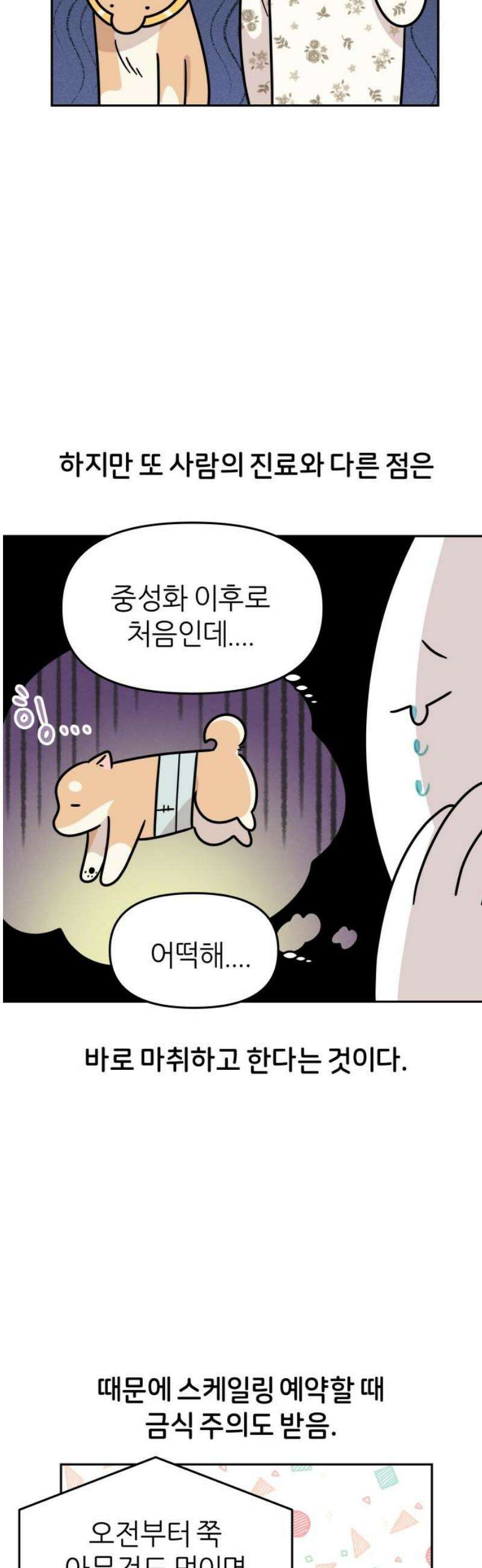 시바, 만만치 않다 52화 이빨 관리 6
