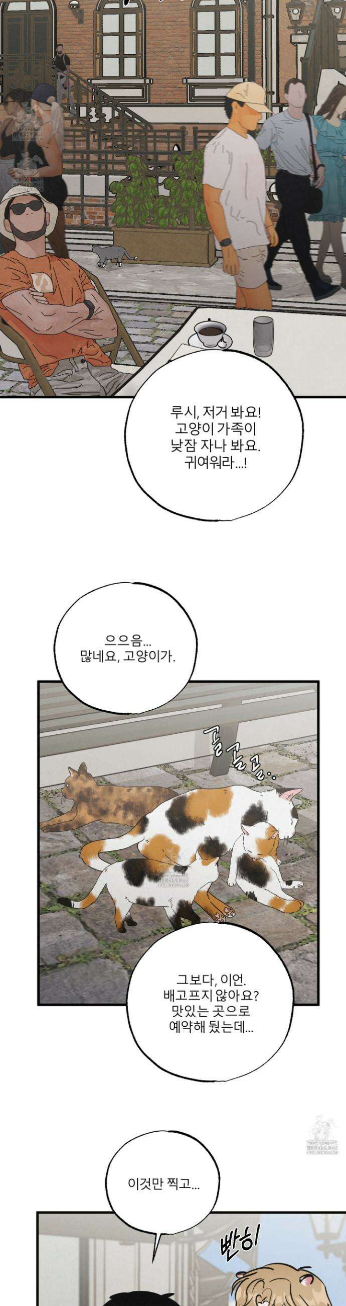 골든 페어(Golden Pair) 57화 2