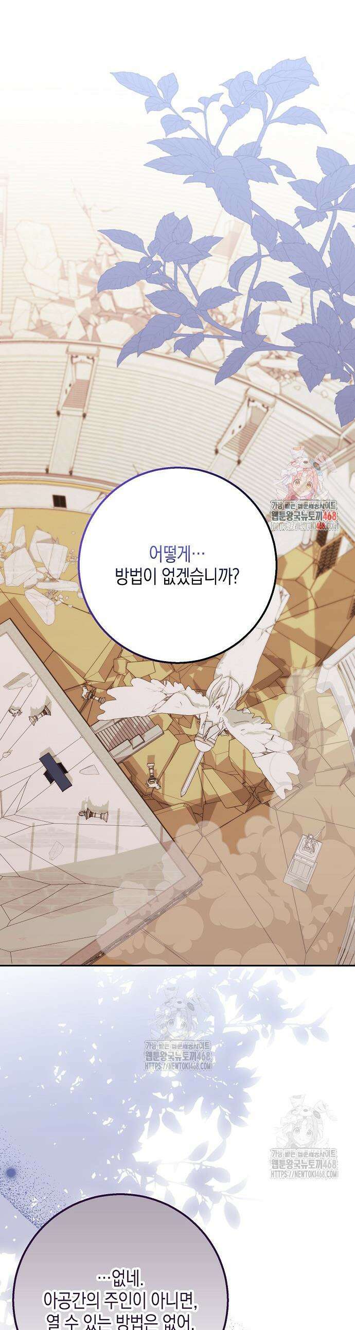 흑표 가문의 설표 아기님 41화 1