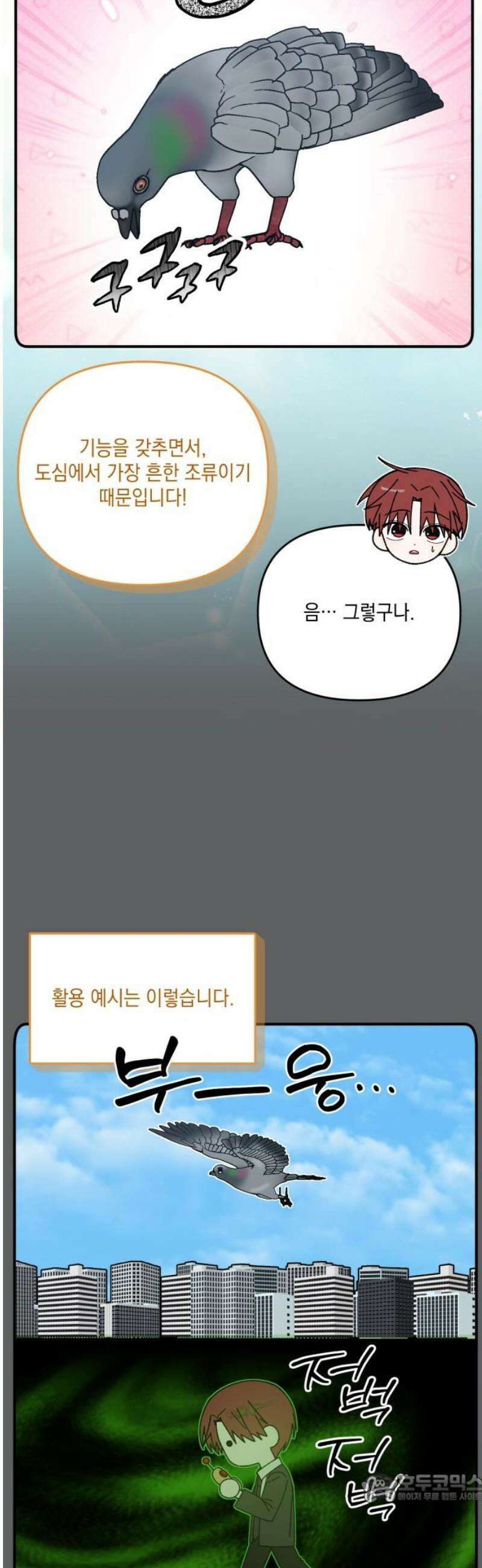 한국에서 히어로 하기 힘들더라 36화 비둘기와 음료수 (2) 4