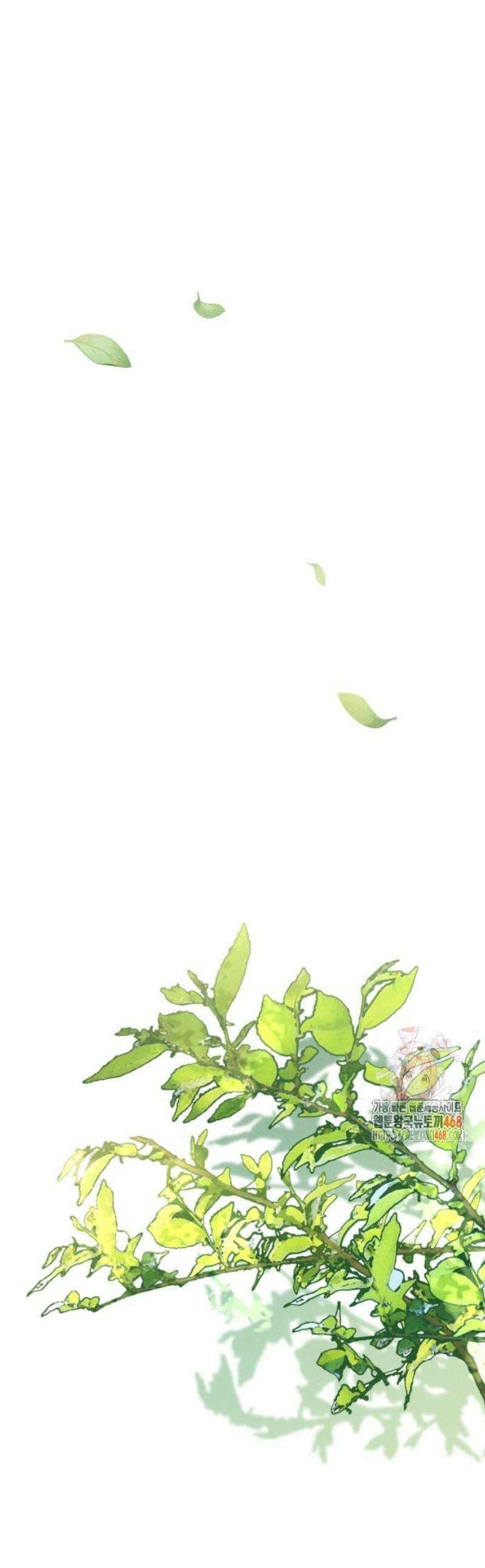 미연 19화 1