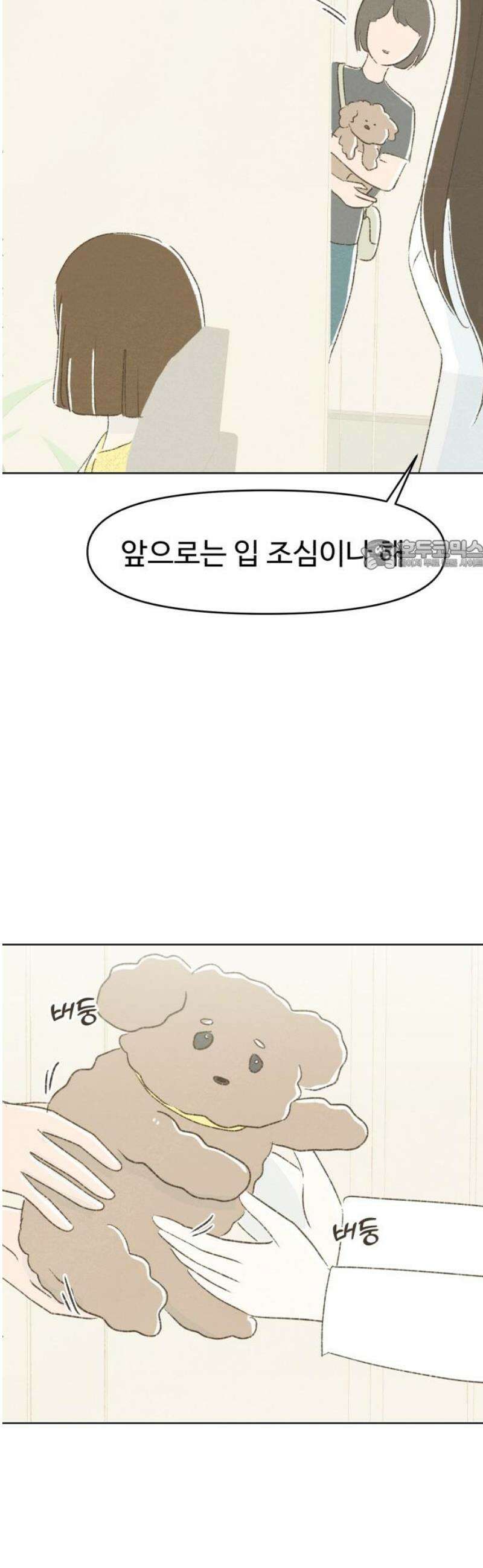 캠퍼스의 로망 24화 26