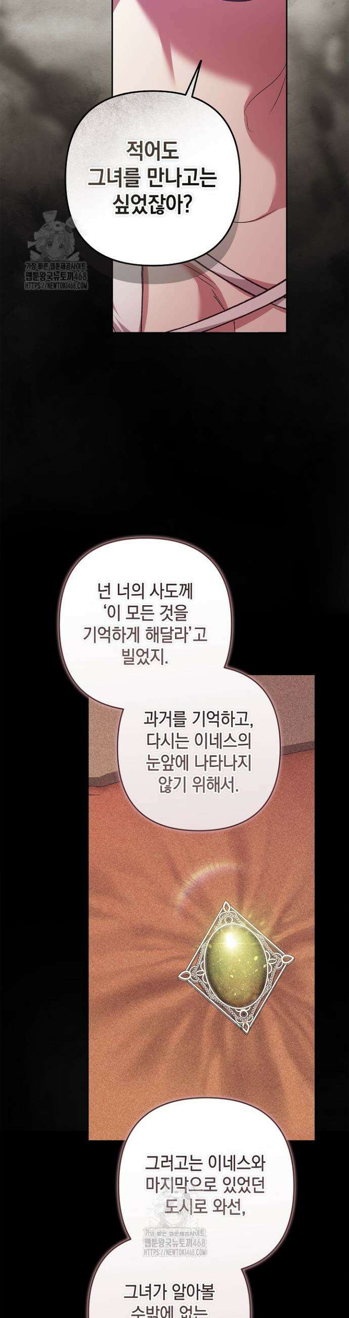 이 결혼은 어차피 망하게 되어 있다 102화 11