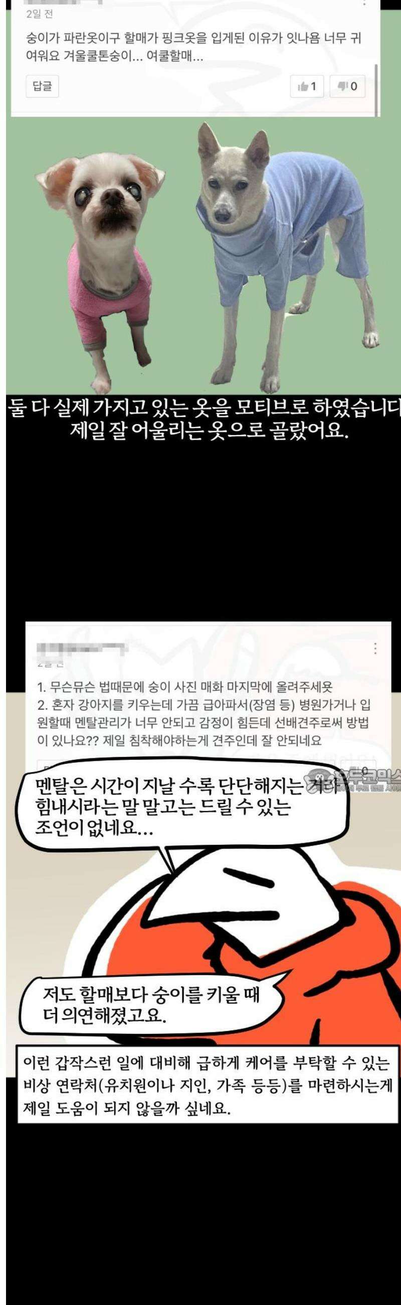 개집사 109화: 백구화 특집 8