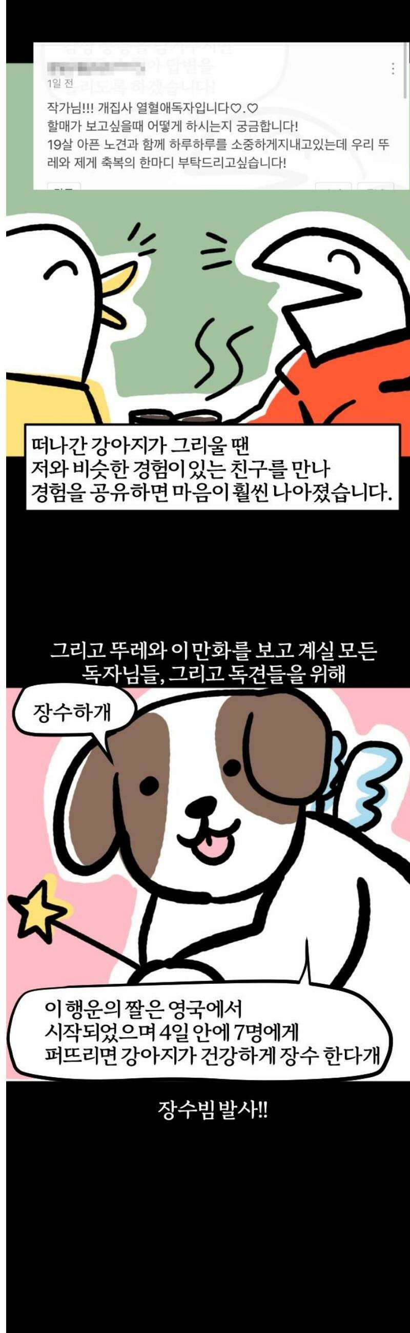 개집사 109화: 백구화 특집 9