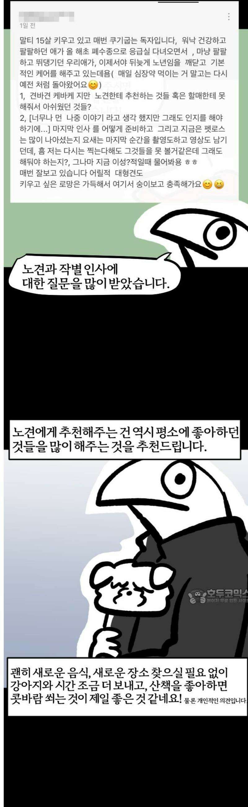 개집사 109화: 백구화 특집 10