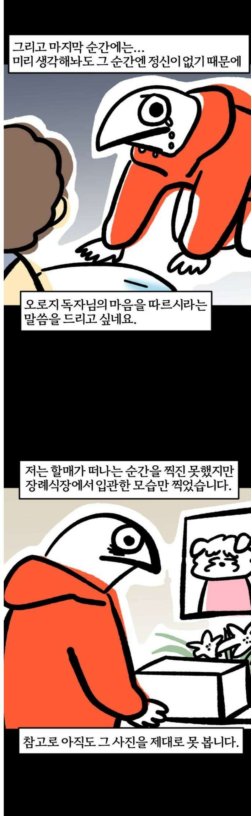 개집사 109화: 백구화 특집 11