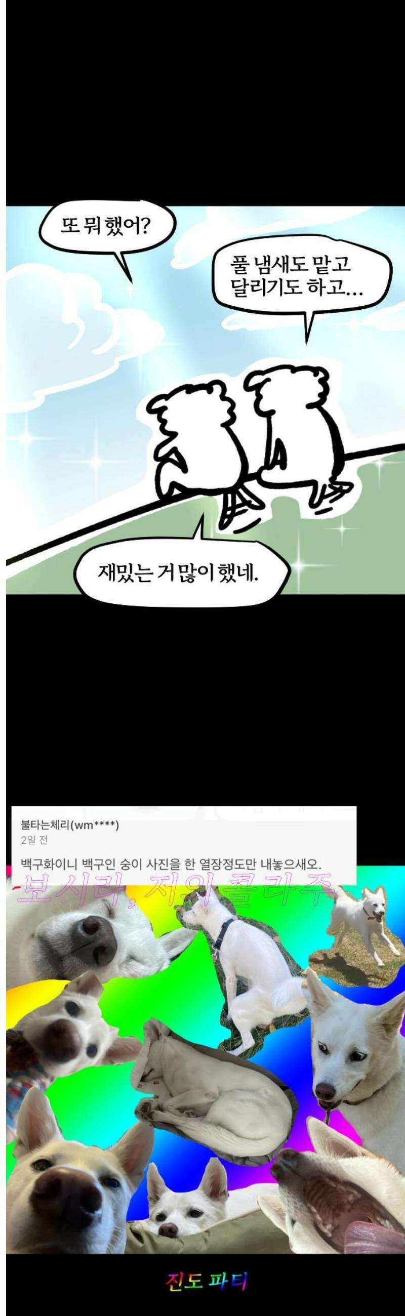 개집사 109화: 백구화 특집 14