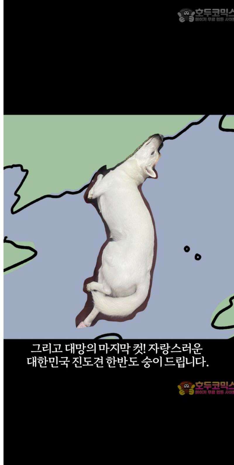 개집사 109화: 백구화 특집 15