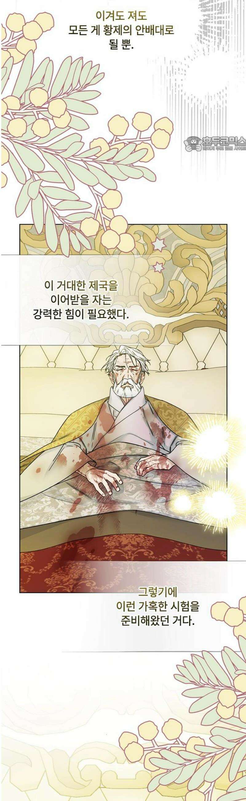 그 기사가 레이디로 사는 법 174화 : 황제의 길 54
