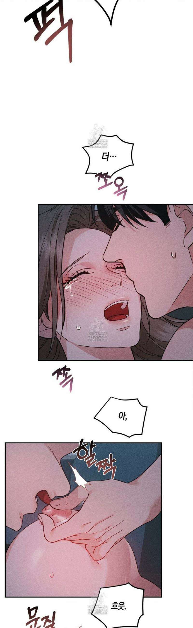 제비꽃 로망스 11화 16