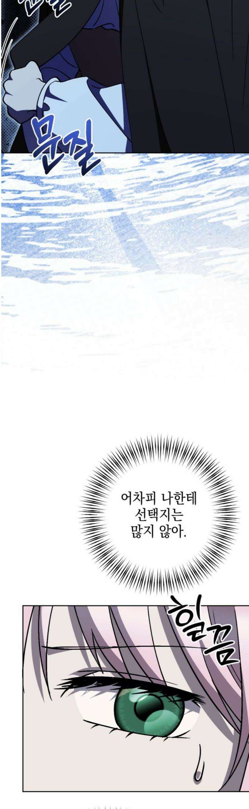 시한부 황후의 나쁜 짓 67화．<황후 말고 딴 거> 8