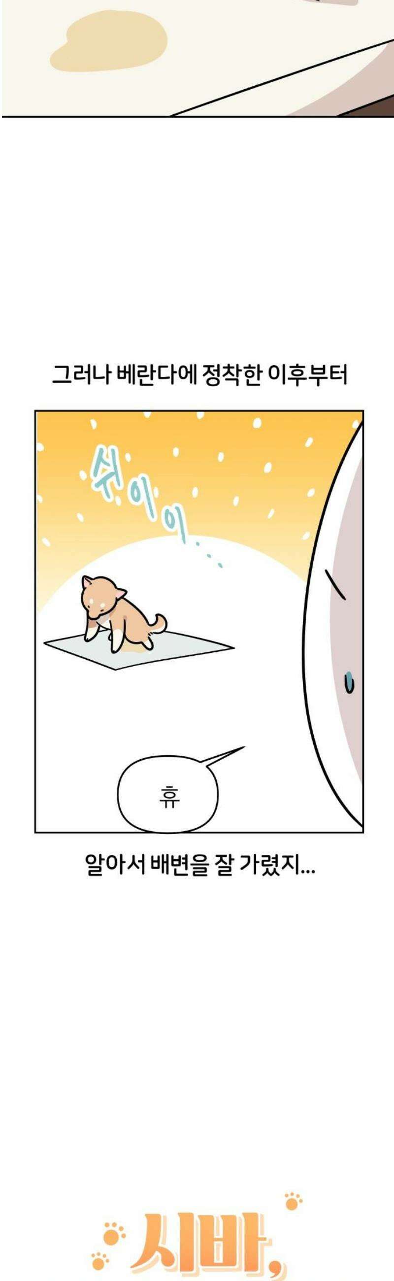 시바, 만만치 않다 60화 실외배변 3