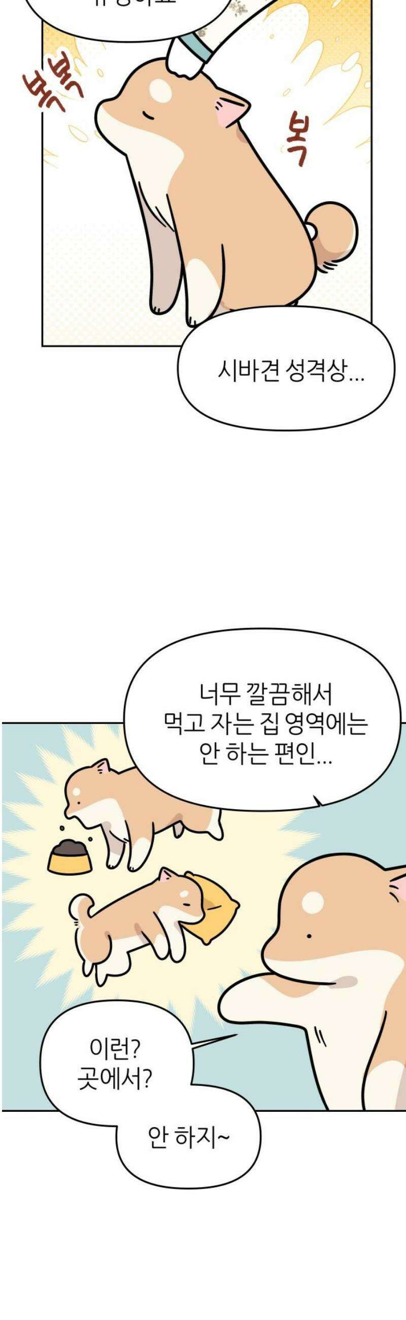 시바, 만만치 않다 60화 실외배변 5