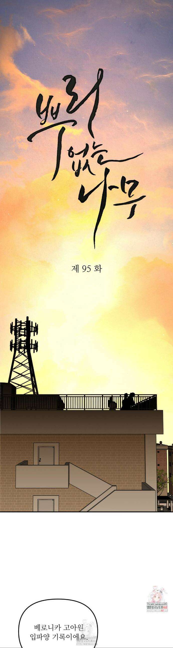 뿌리 없는 나무 95화 1