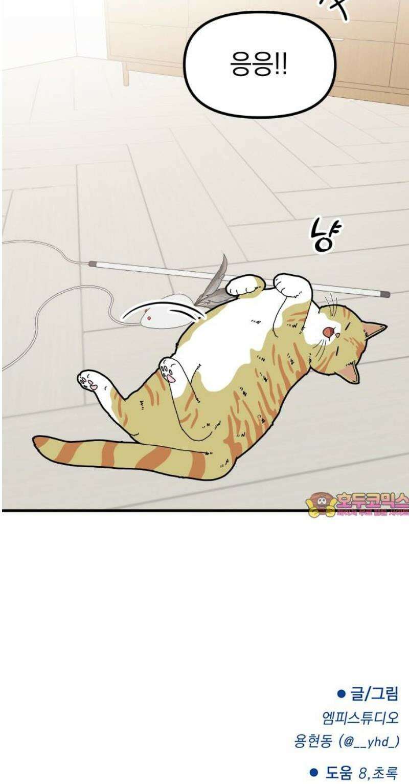 지유지요 18화 28