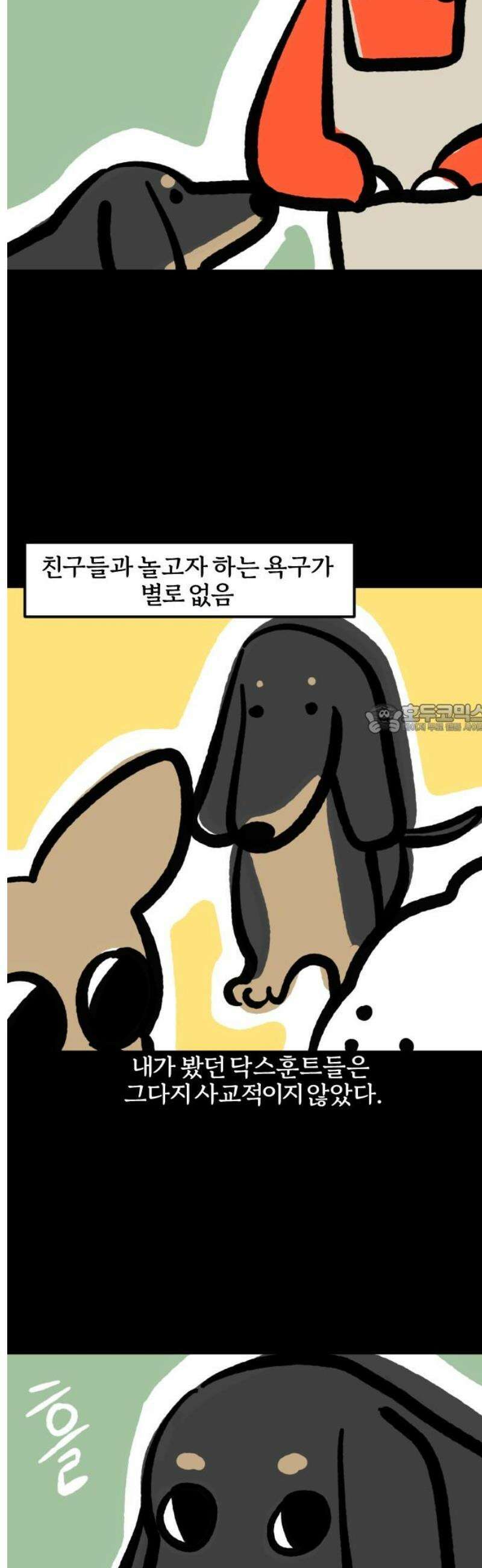 개집사 116화: 견종 특집-닥스훈트 6