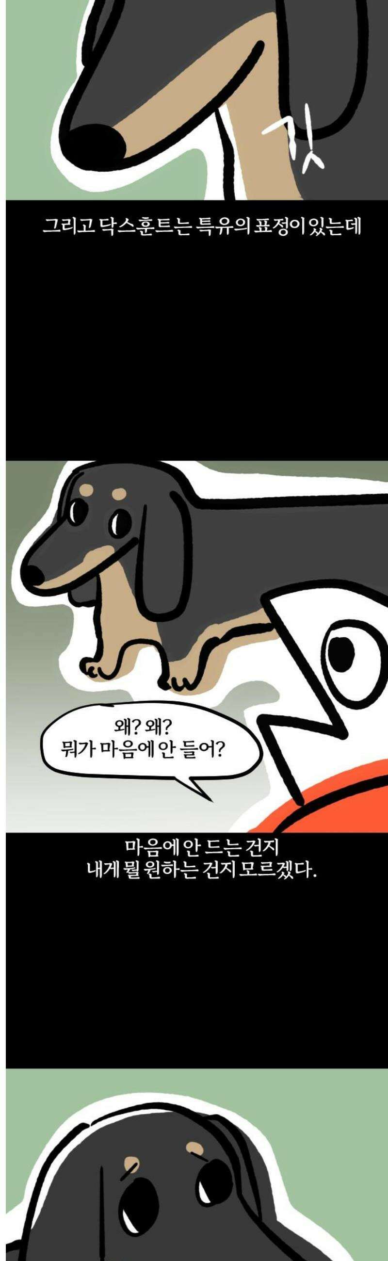 개집사 116화: 견종 특집-닥스훈트 7