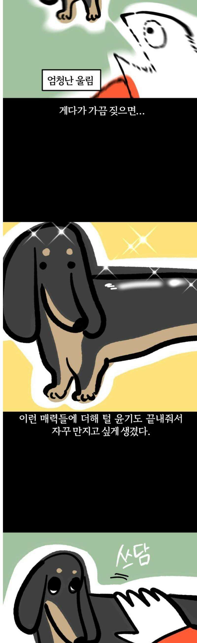 개집사 116화: 견종 특집-닥스훈트 9