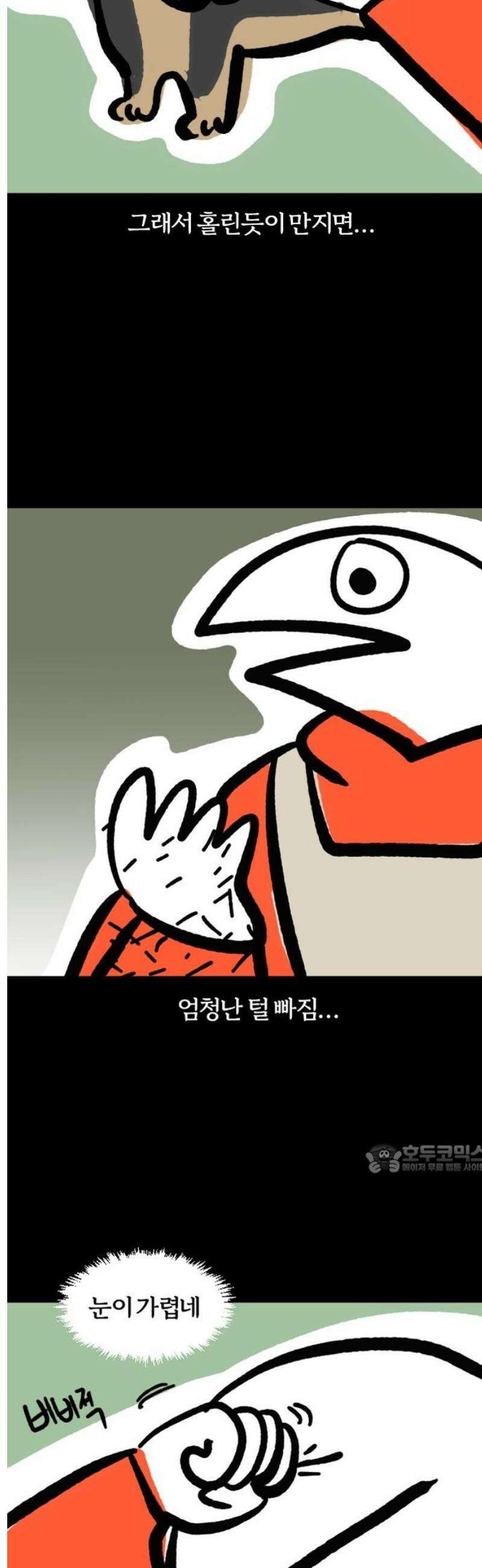개집사 116화: 견종 특집-닥스훈트 10