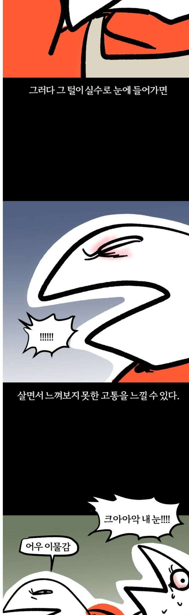 개집사 116화: 견종 특집-닥스훈트 11