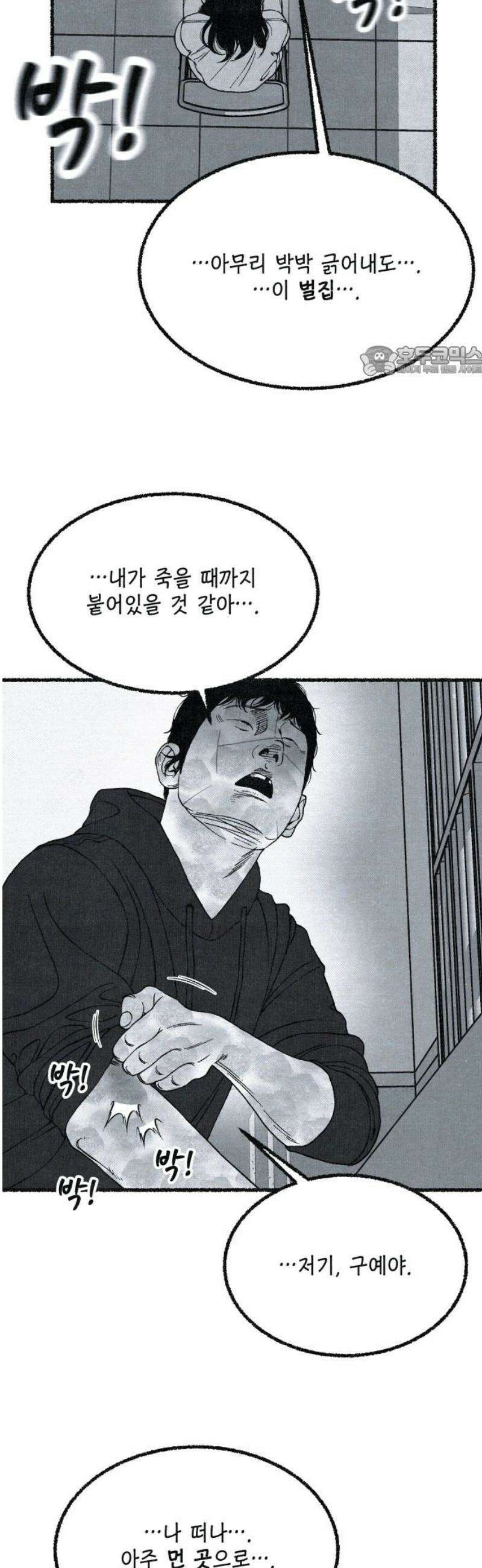 벌집 89화 9