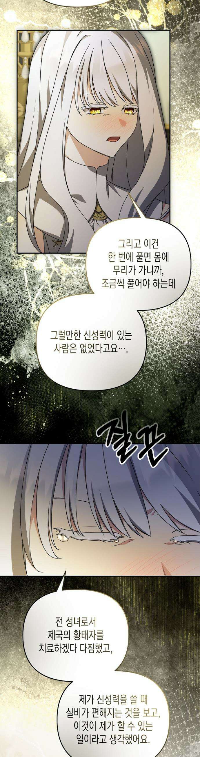 흑막 공작의 못난이 부인 53화 13