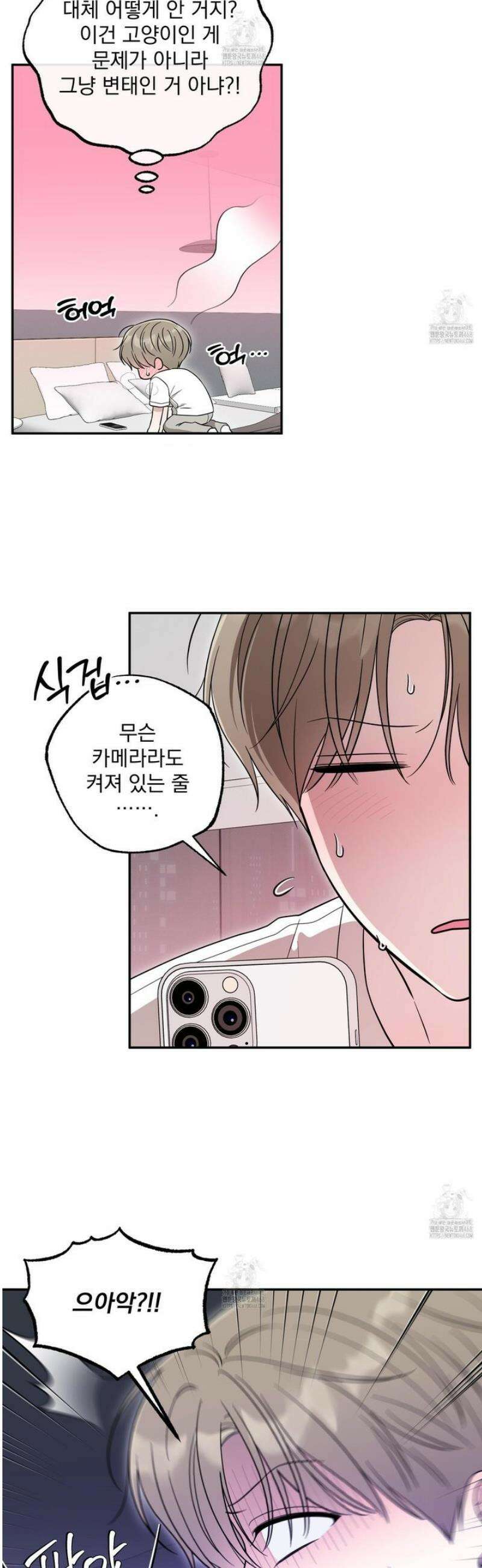 냥자친구 길들이기 21화 3