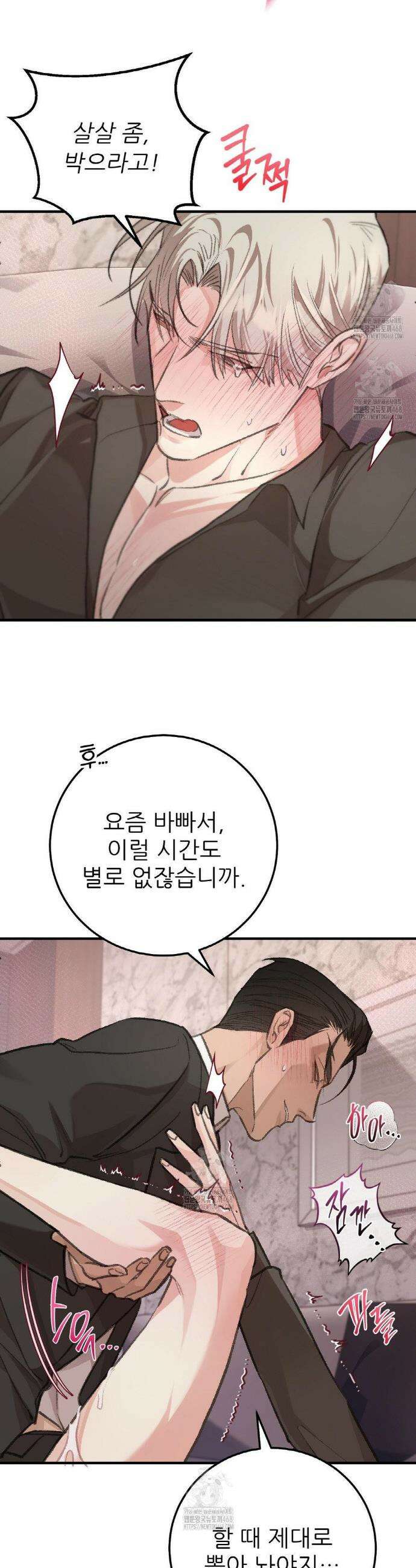 대표님이 취향입니다 1화 16