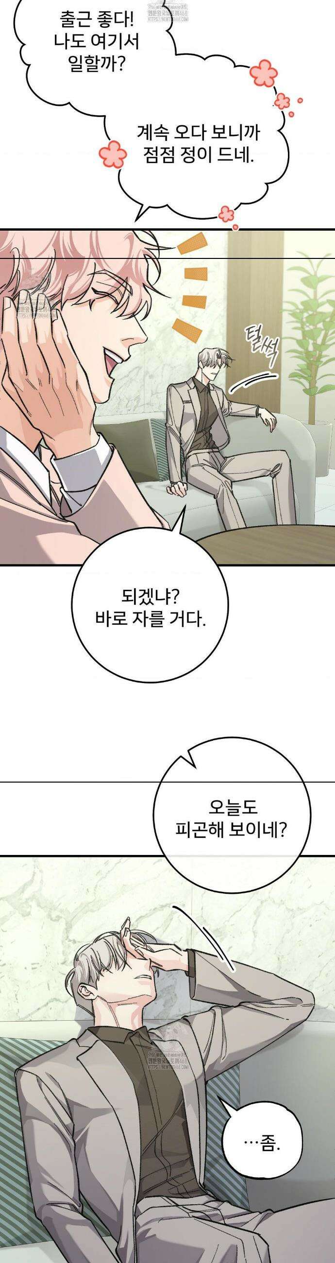 대표님이 취향입니다 12화 12